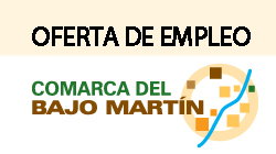 Oferta de empleo de Comarca Bajo Martín: Monitor de juventud